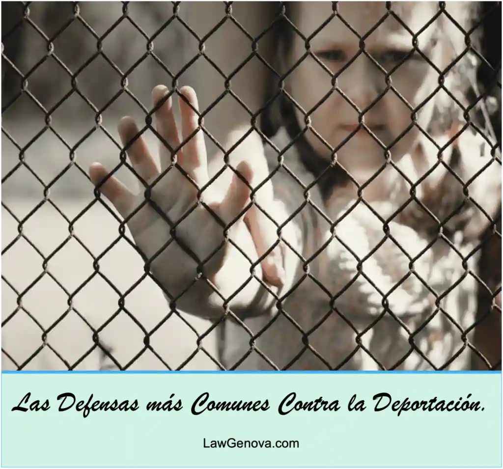 Las Defensas más Comunes Contra la Deportación.